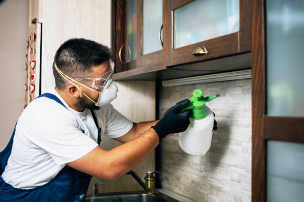 Best Fumigation Services  in Sunset, LA